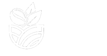 BMV Tunde Limited